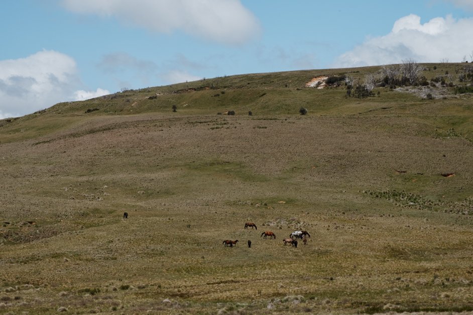 jana meerman snowy mountains highway australia-47