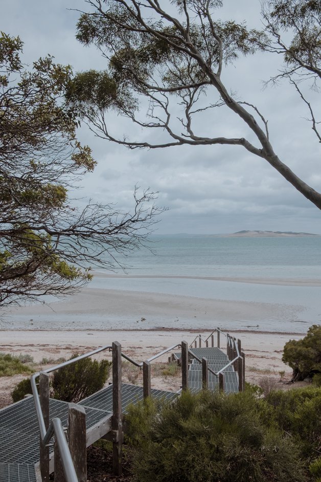 jana meerman south australia-03