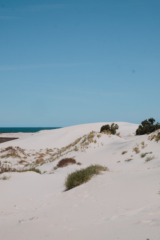 jana meerman south australia-101