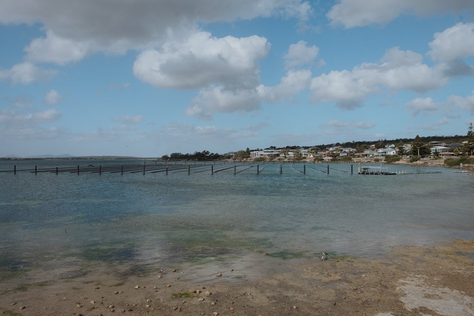 jana meerman south australia-55