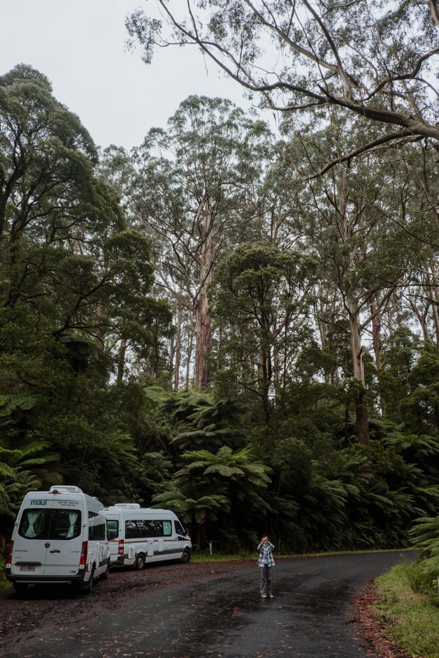 jana meerman tarra-bulga national park australia-12