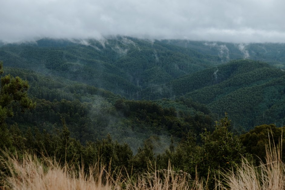 jana meerman tarra-bulga national park australia-2