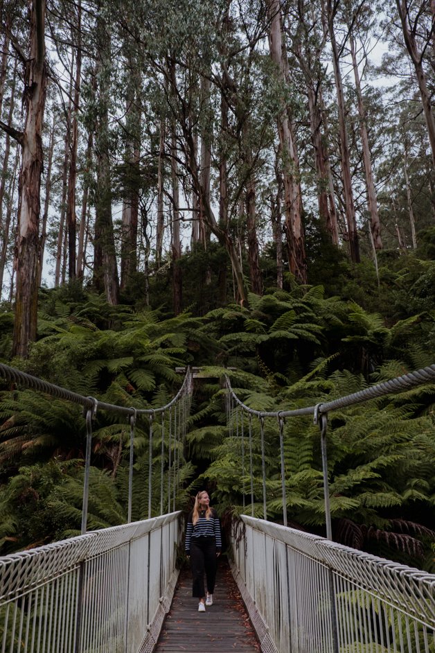 jana meerman tarra-bulga national park australia-20