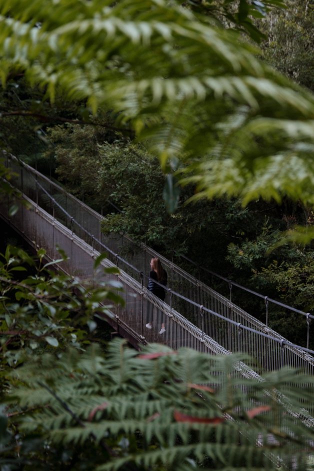 jana meerman tarra-bulga national park australia-20