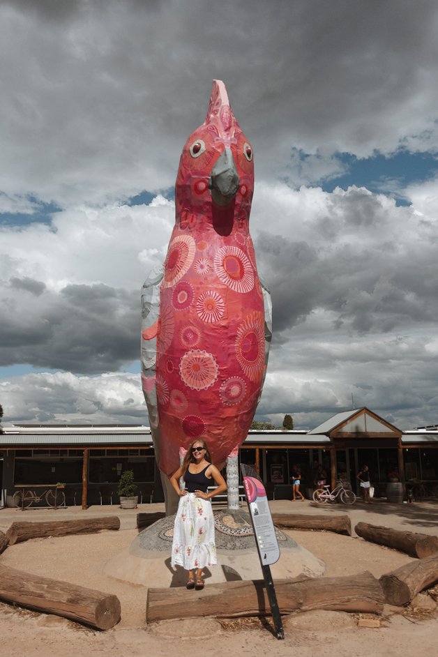 jana meerman the big galah statue kimba australia-1