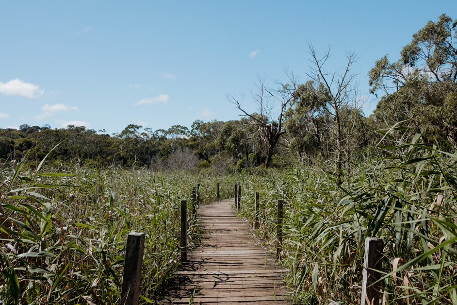 jana meerman tower hill australia-43