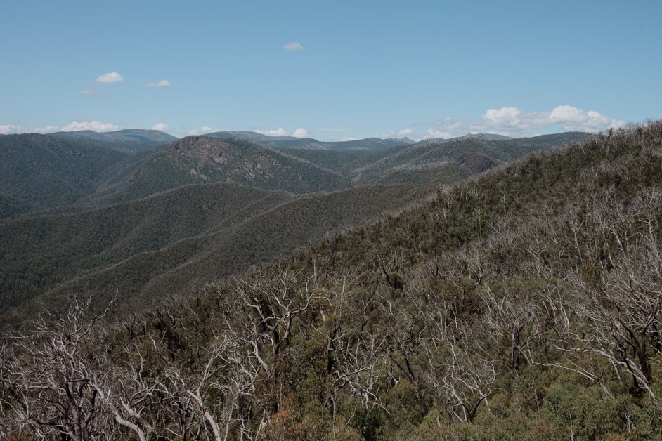 jana meerman tumut australia-1