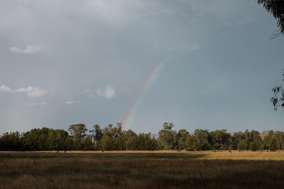 jana meerman tumut australia-25