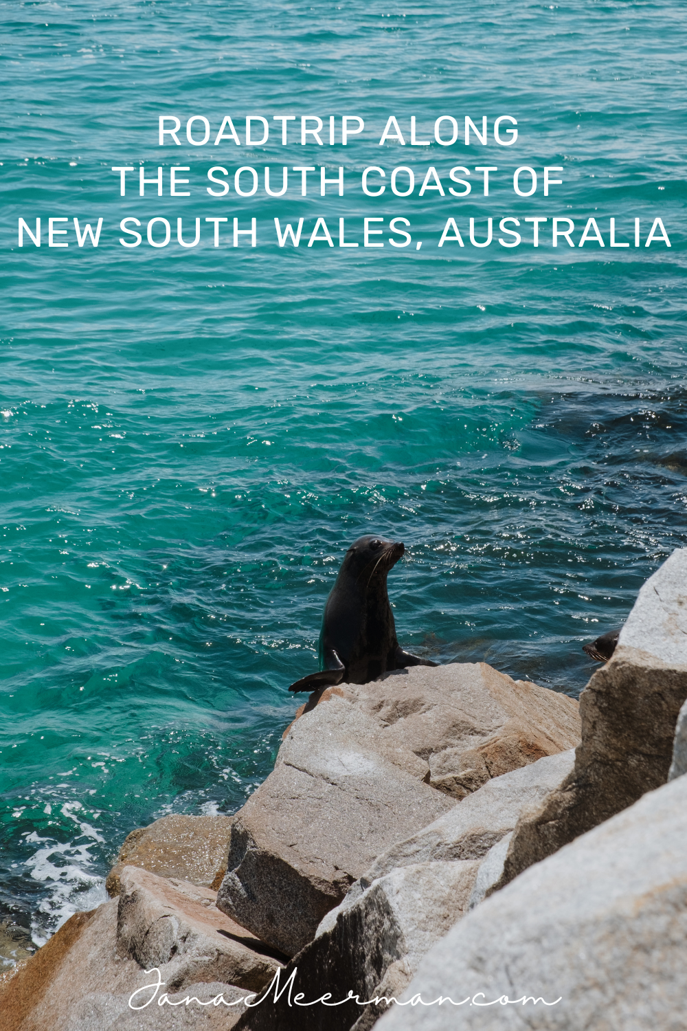 nsw south coast roadtrip