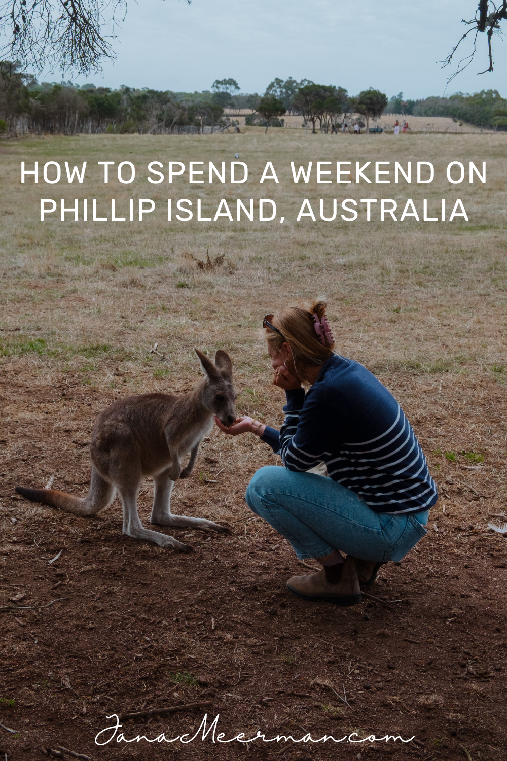 phillip island