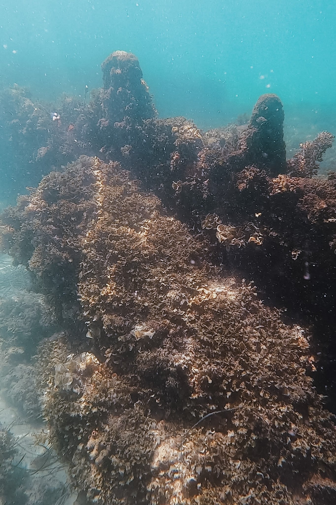 jana meerman omeo wreck perth australia