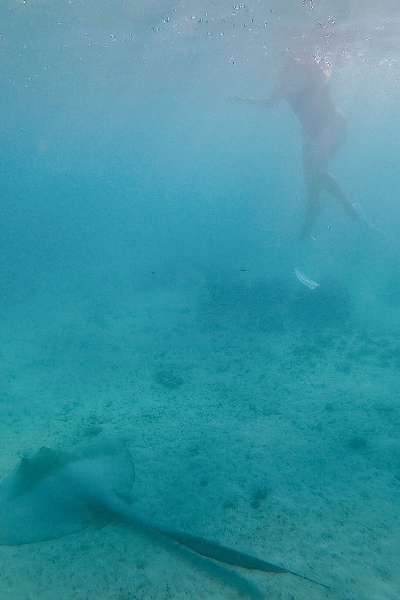 jana meerman turquoise bay exmouth australia (7)