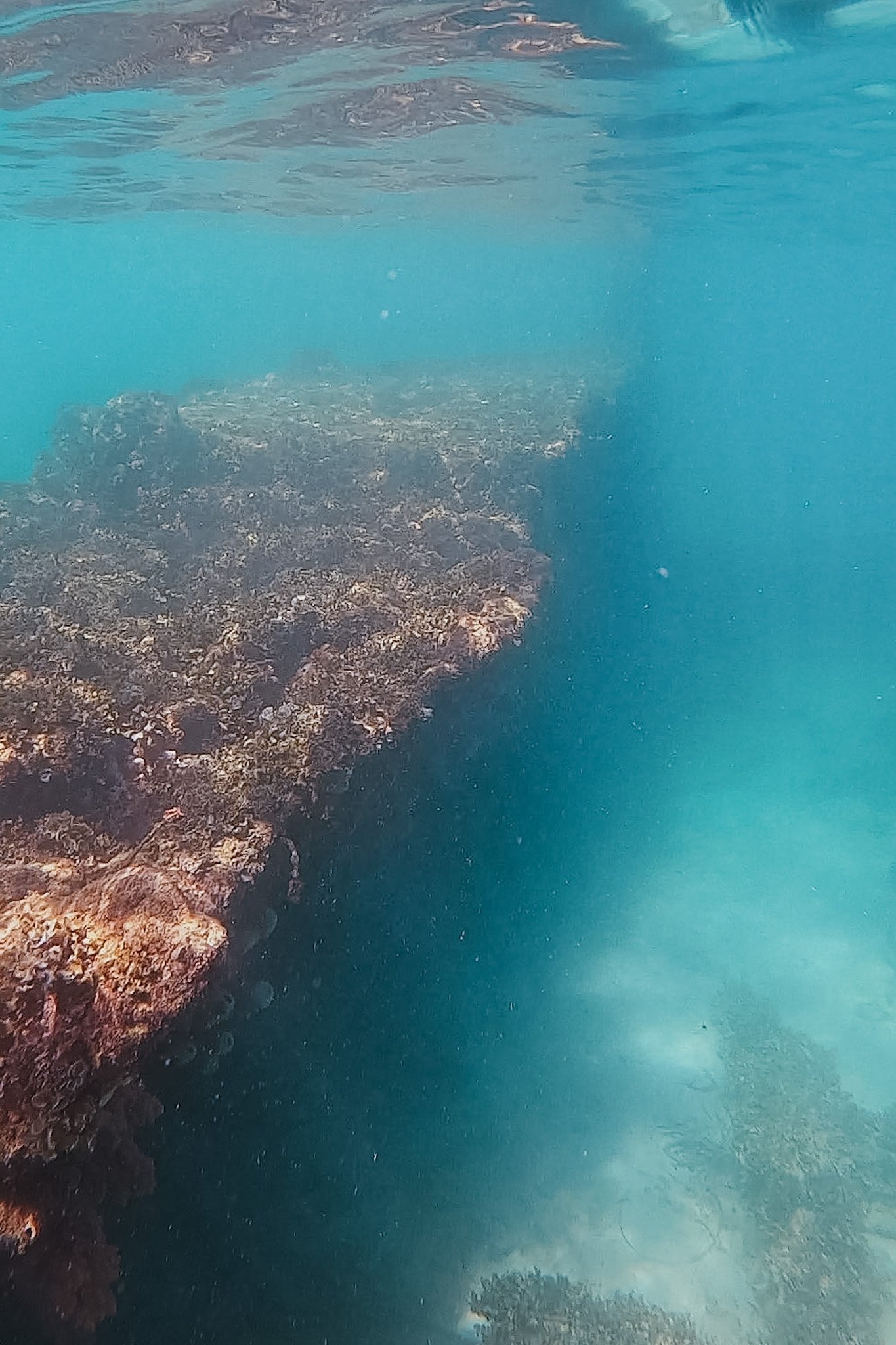 jana meerman omeo wreck perth australia