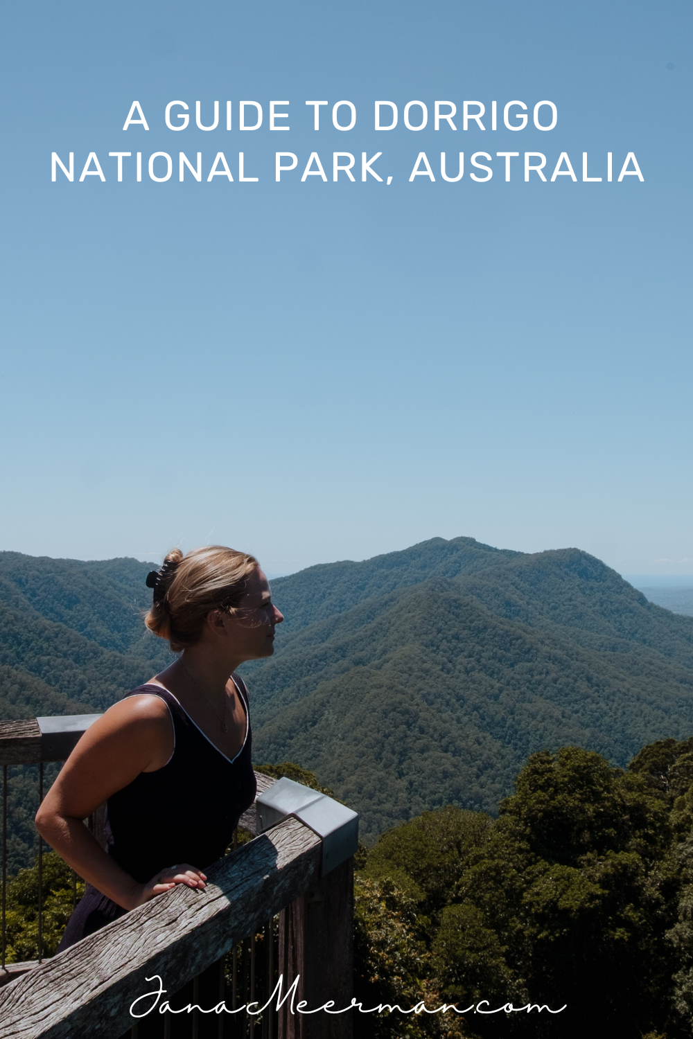 dorrigo national park