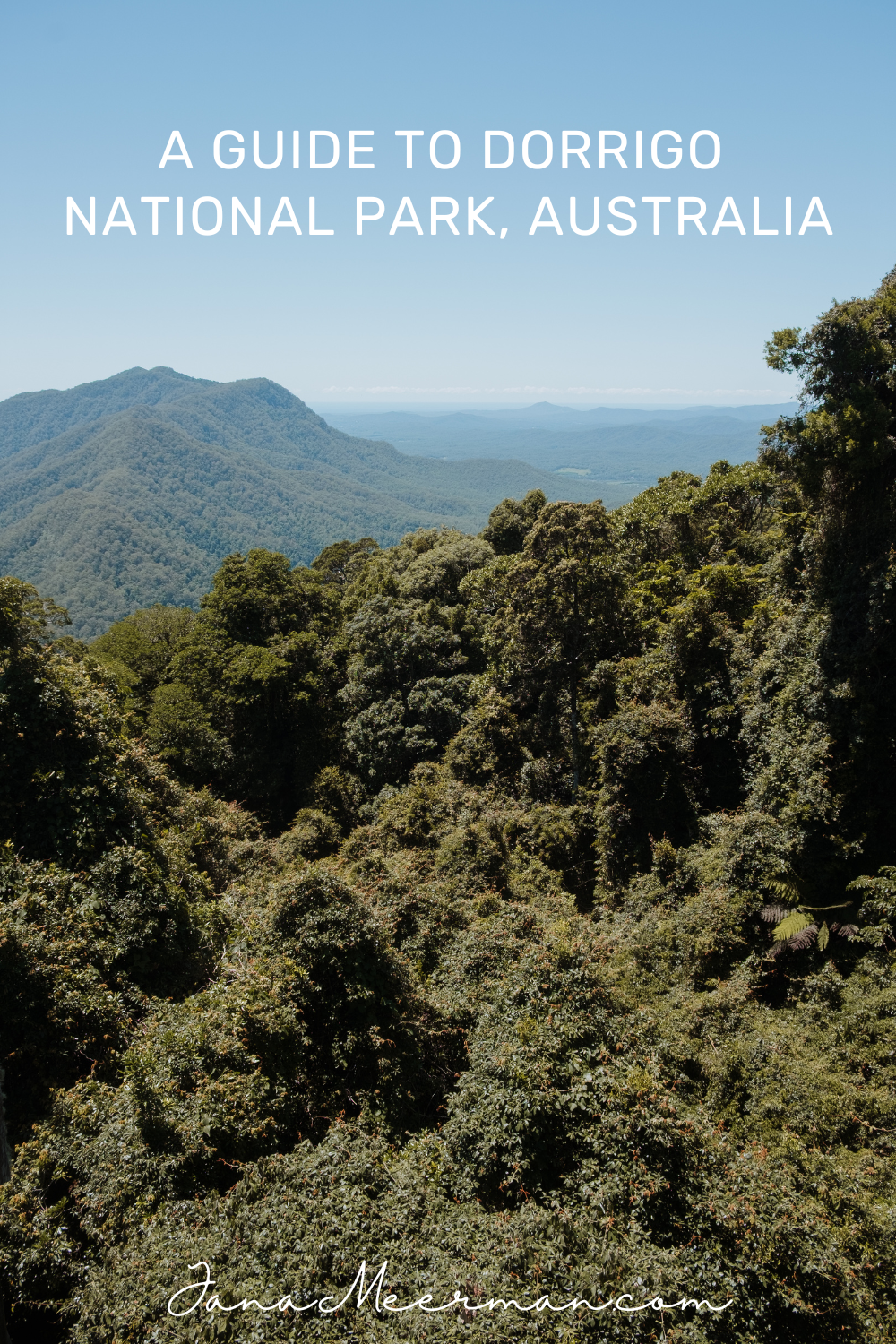 dorrigo national park