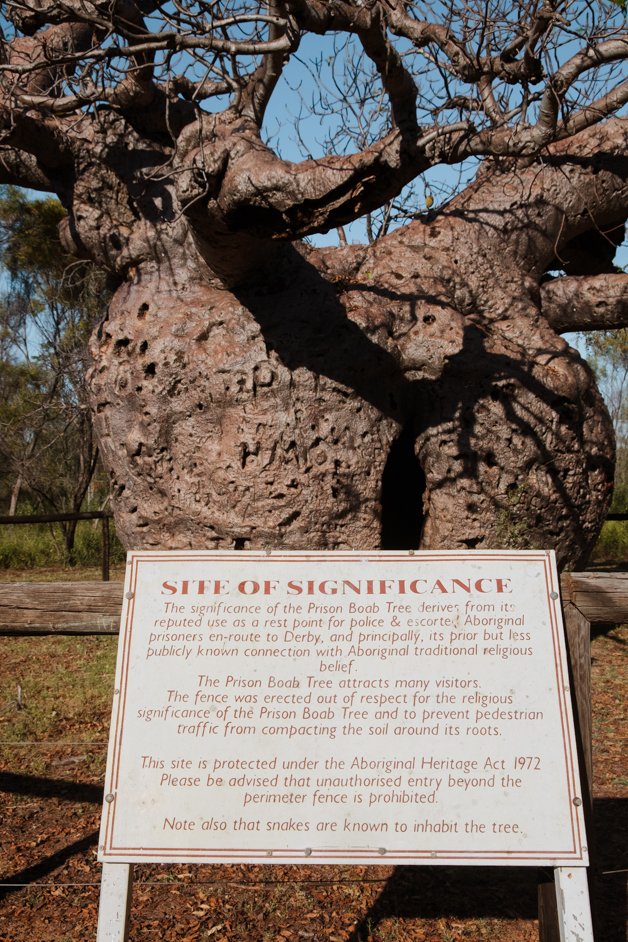 jana meerman boab prison tree derby australia1-2