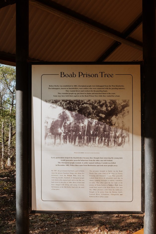 jana meerman boab prison tree derby australia1-2