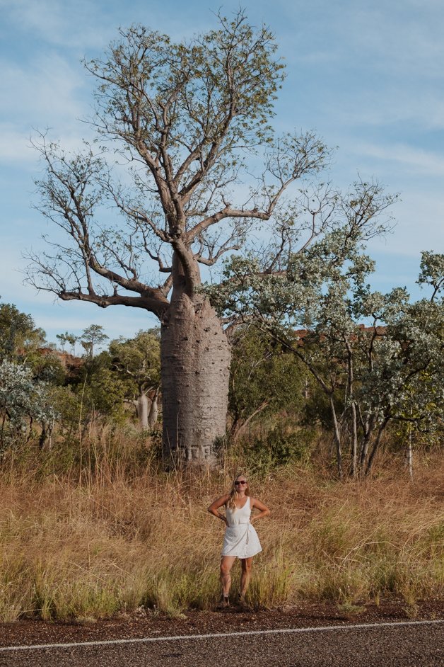 jana meerman boab trees victoria highway northern territory australia-2