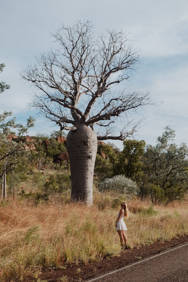 jana meerman boab trees victoria highway northern territory australia-2