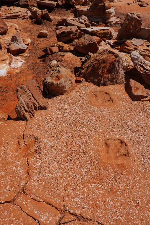 jana meerman broome australia-17