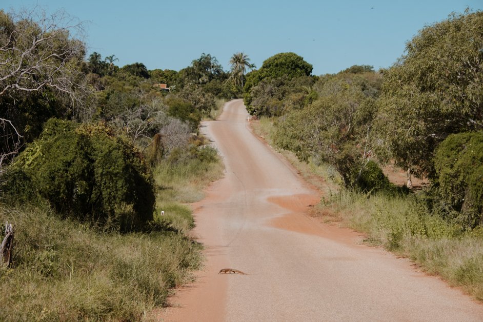 jana meerman broome australia-03
