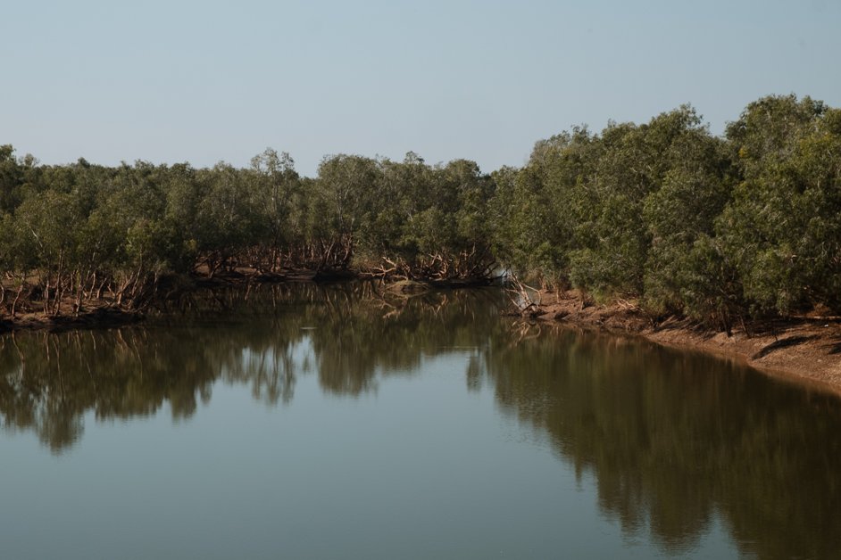 jana meerman cockatoo bridge minnie river australia-1