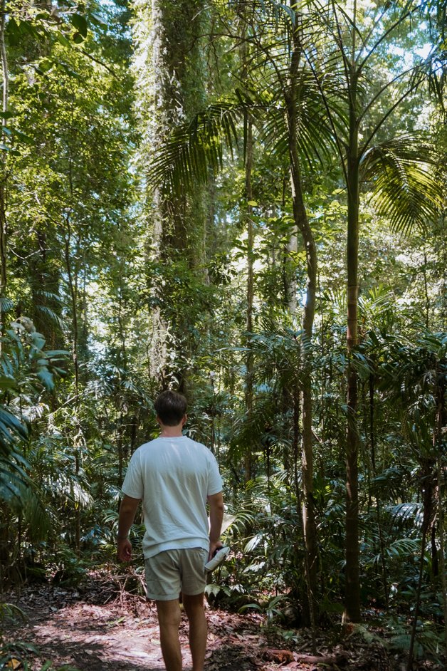 jana meerman dorrigo national park gondwana rainforest australia-9