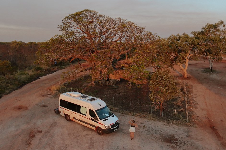jana-meerman-giant-boab-tree-australia-1.jpg
