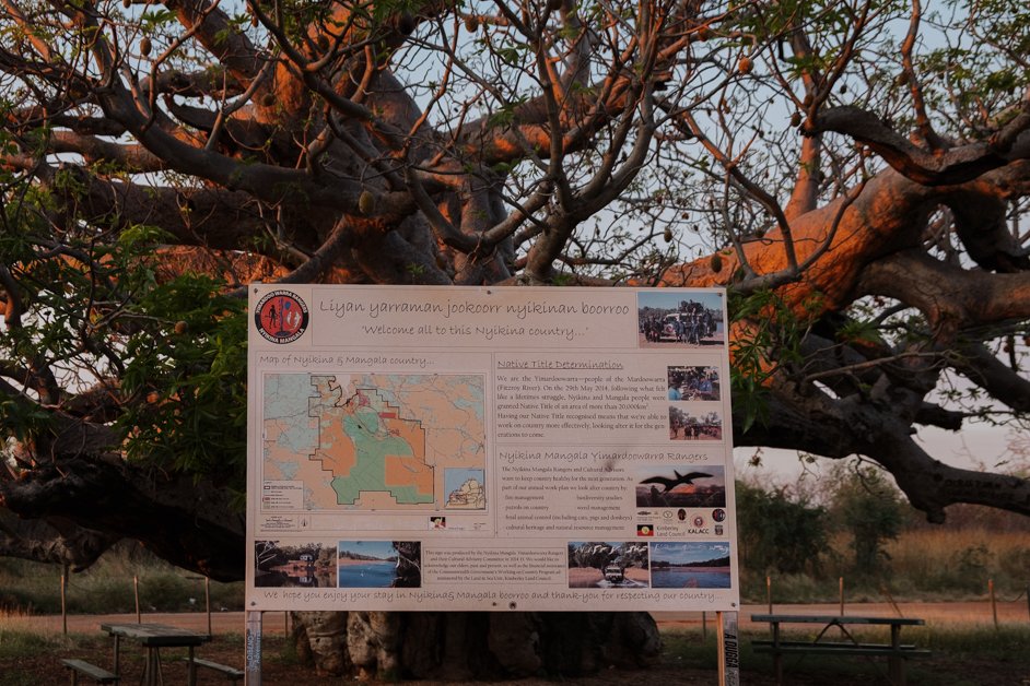 jana meerman giant boab tree australia-10