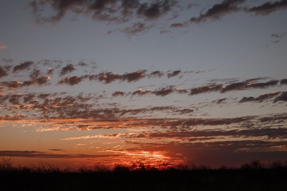 jana-meerman-goldwire-free-campground-broome-australia-2.jpg
