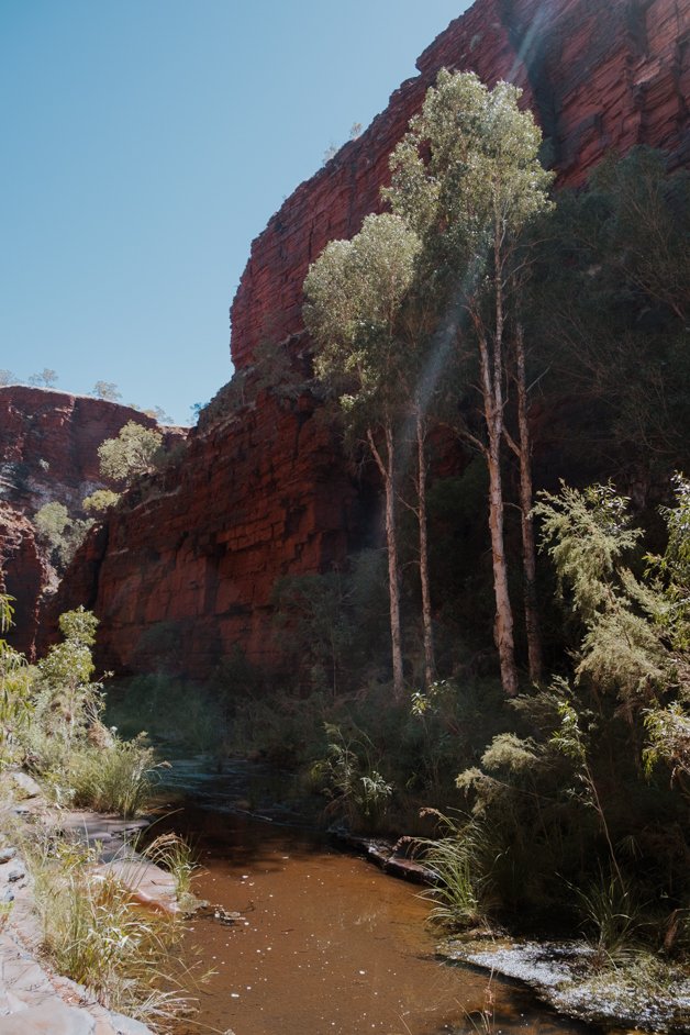 jana meerman karijini national park australia-063