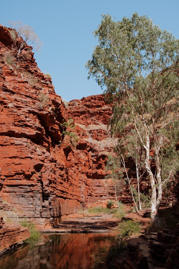 jana meerman karijini national park australia-080