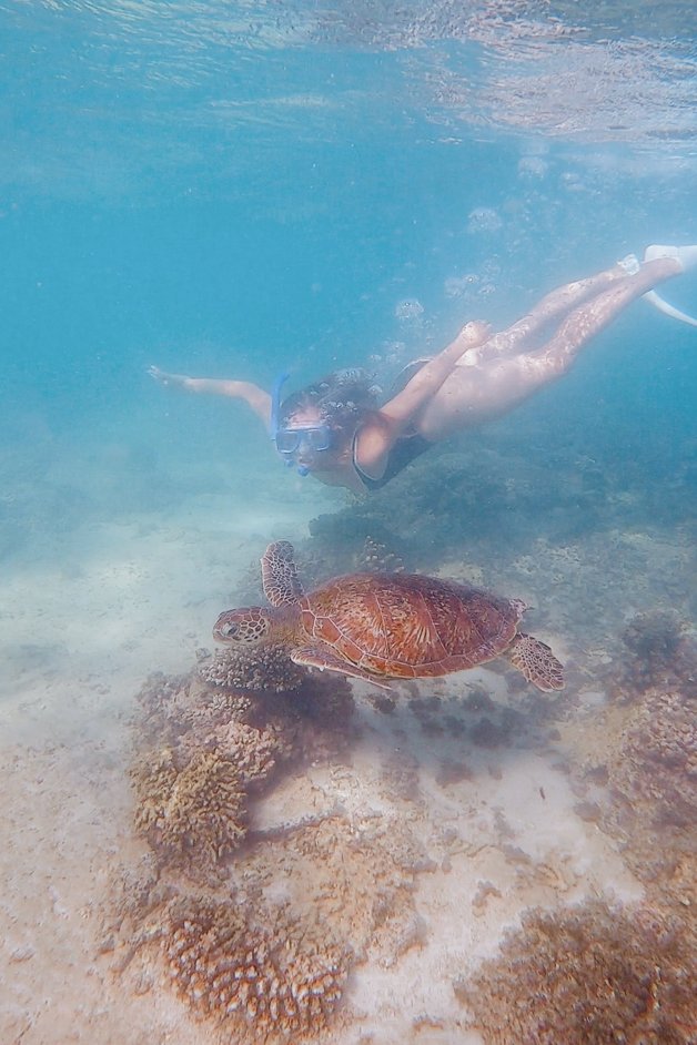 jana meerman oyster stacks snorkeling exmouth australia-01