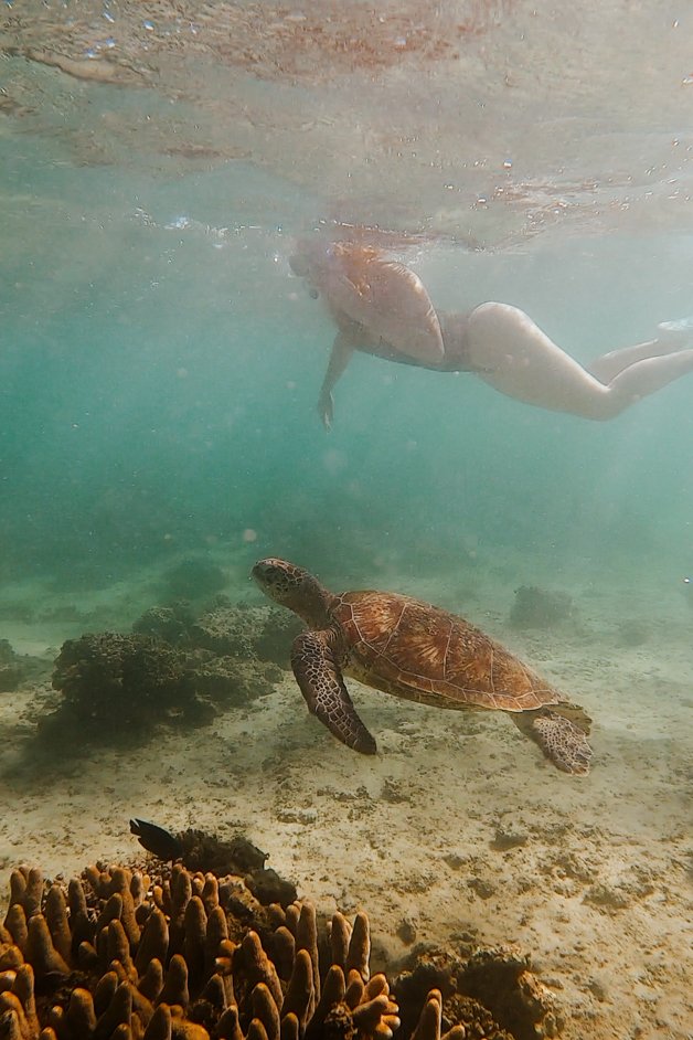 jana meerman oyster stacks snorkeling exmouth australia-01