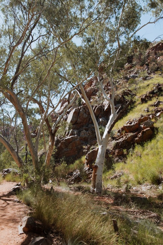 jana meerman tjoritja - west macdonnell national park australia-009