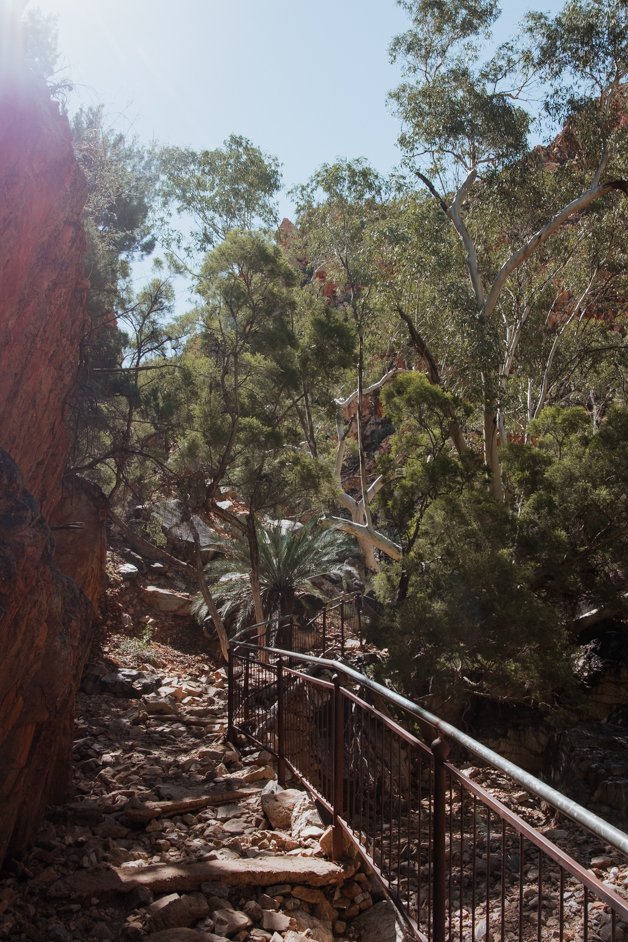 jana meerman tjoritja - west macdonnell national park australia-009