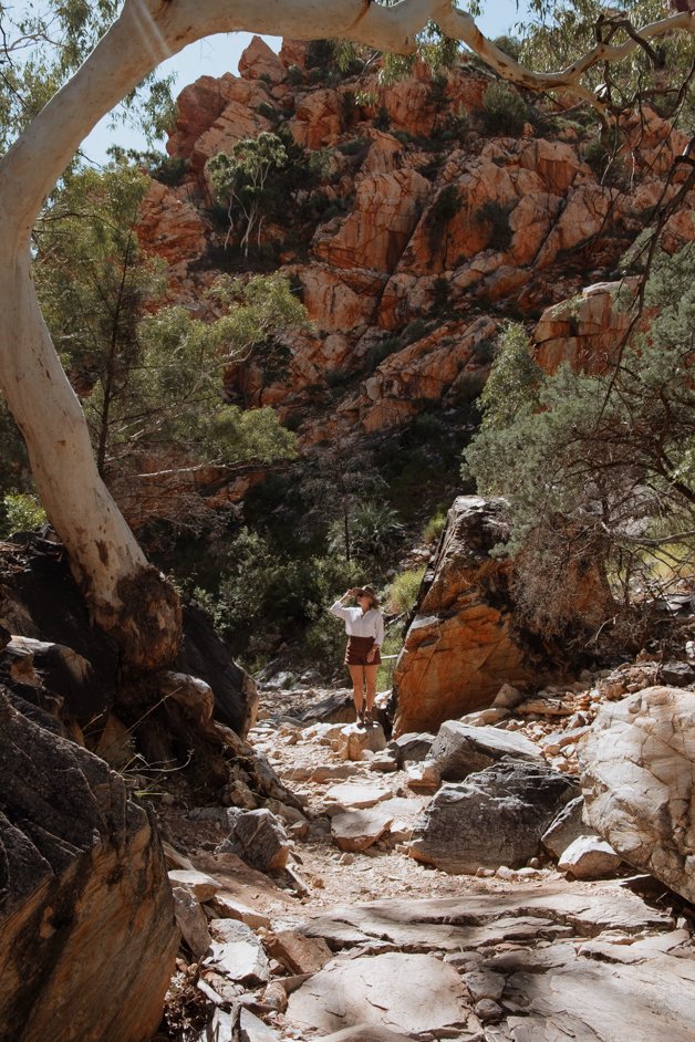 jana meerman tjoritja - west macdonnell national park australia-009