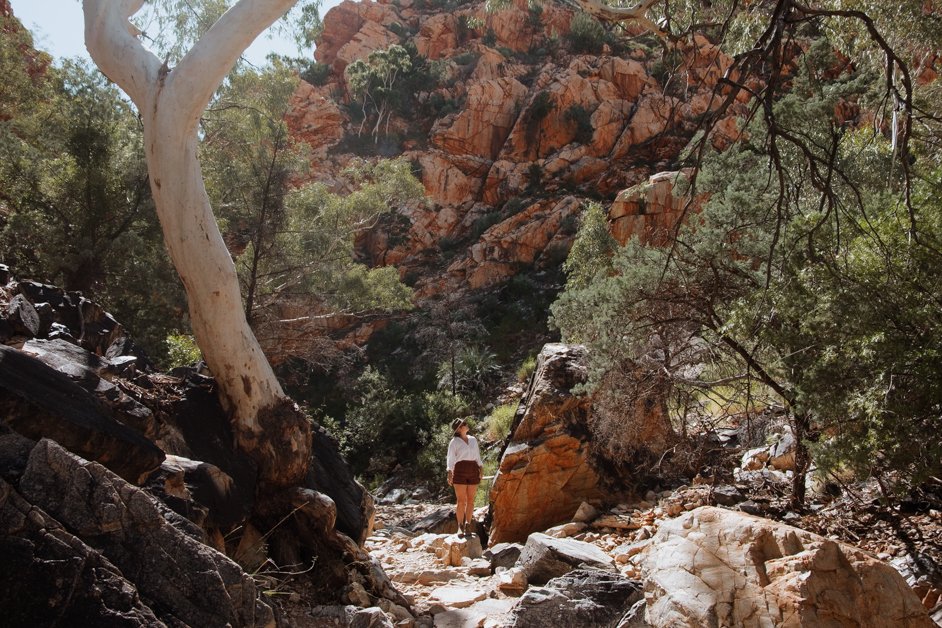 jana meerman tjoritja - west macdonnell national park australia-009