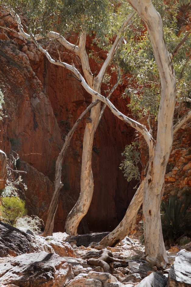 jana meerman tjoritja - west macdonnell national park australia-009