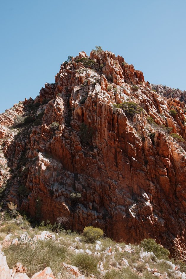 jana meerman tjoritja - west macdonnell national park australia-024