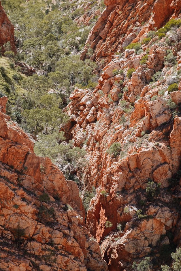 jana meerman tjoritja - west macdonnell national park australia-024