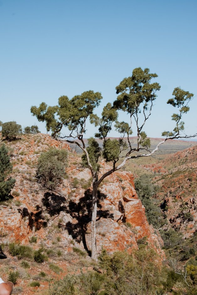 jana meerman tjoritja - west macdonnell national park australia-024