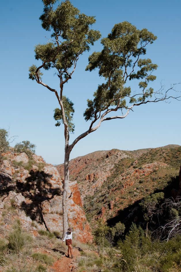 jana meerman tjoritja - west macdonnell national park australia-024
