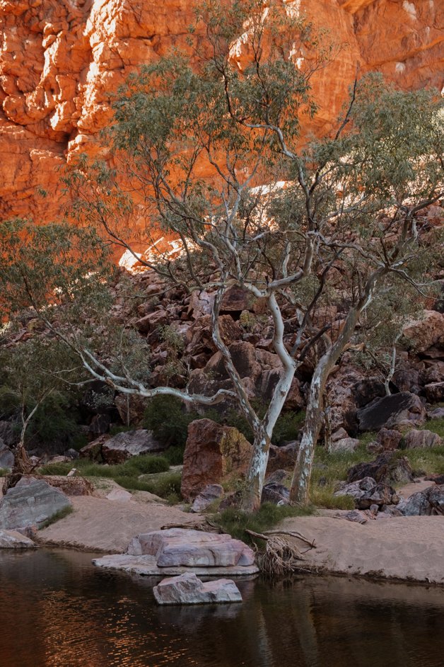 jana meerman tjoritja - west macdonnell national park australia-041