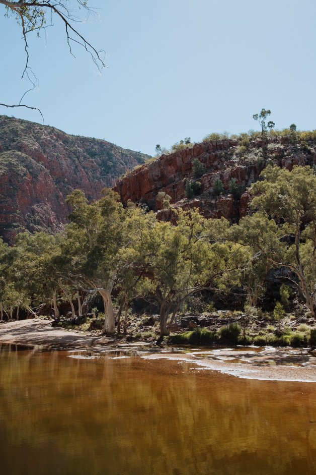 jana meerman tjoritja - west macdonnell national park australia-075