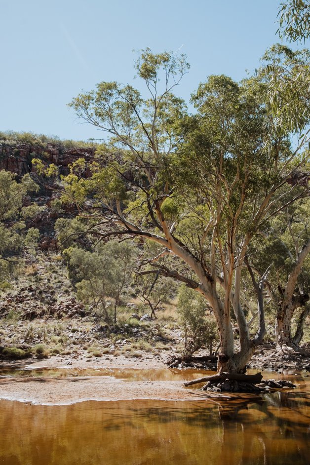 jana meerman tjoritja - west macdonnell national park australia-075