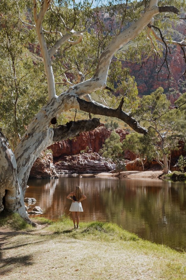 jana meerman tjoritja - west macdonnell national park australia-075