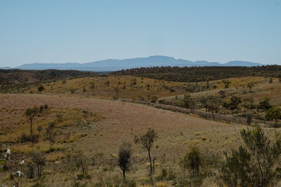 jana meerman tjoritja - west macdonnell national park australia-114
