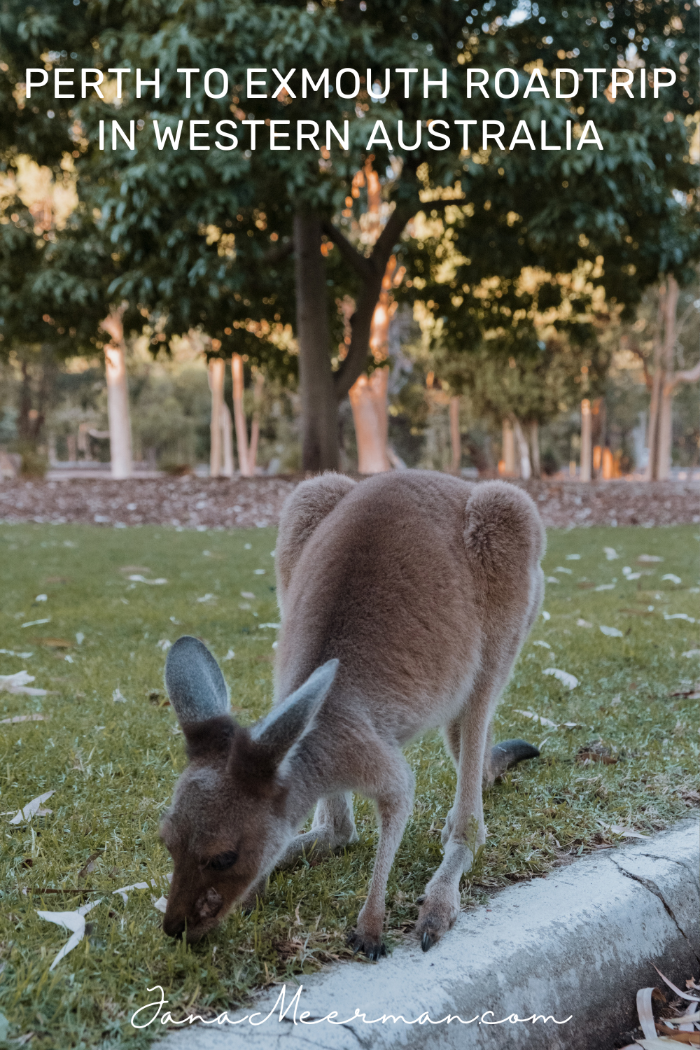 perth to exmouth roadtrip (2)