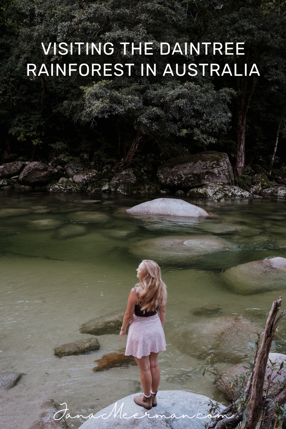 daintree rainforest